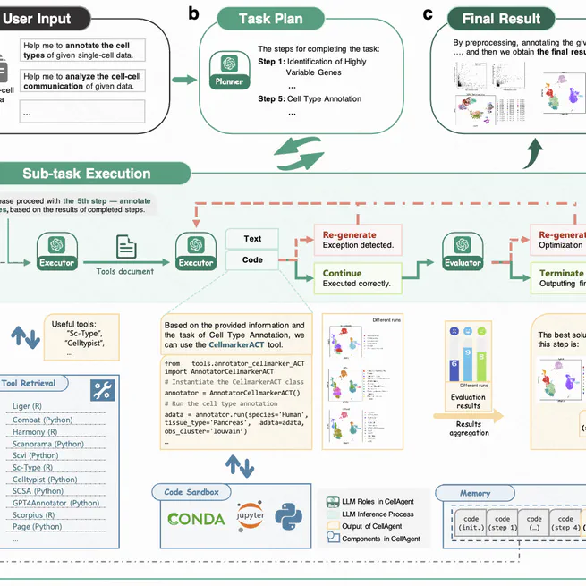 Cellagent: An llm-driven multi-agent framework for automated single-cell data analysis